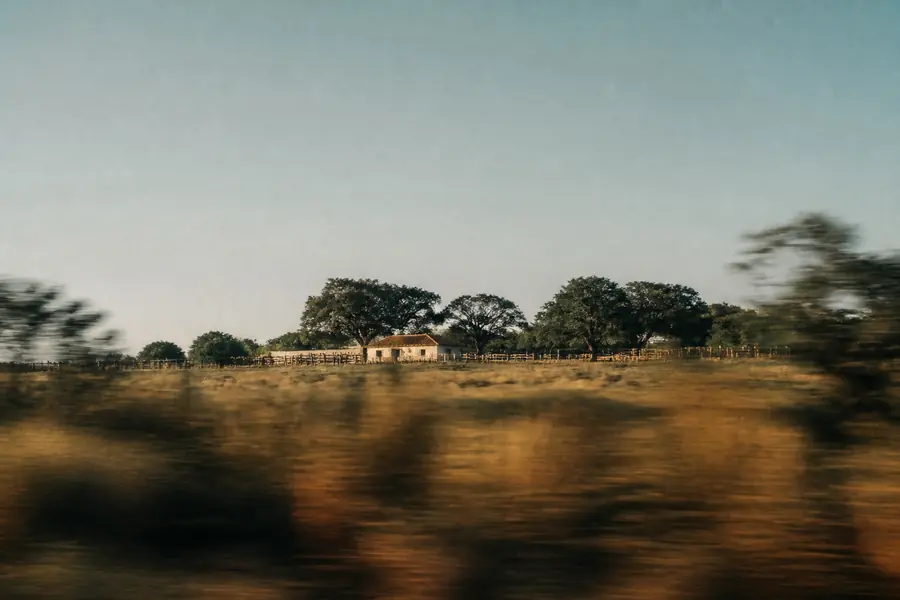 Sede de fazenda vista de um veículo em movimento, ao fim da tarde